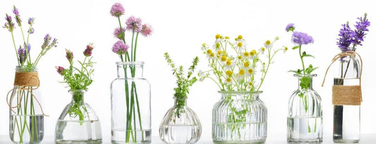 The Benefits Of Using Natural Sports Cleaning Products