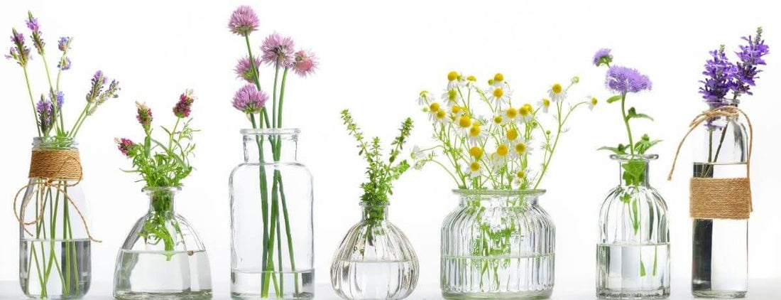 The Benefits Of Using Natural Sports Cleaning Products