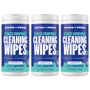 3 Pack (300 wipes)